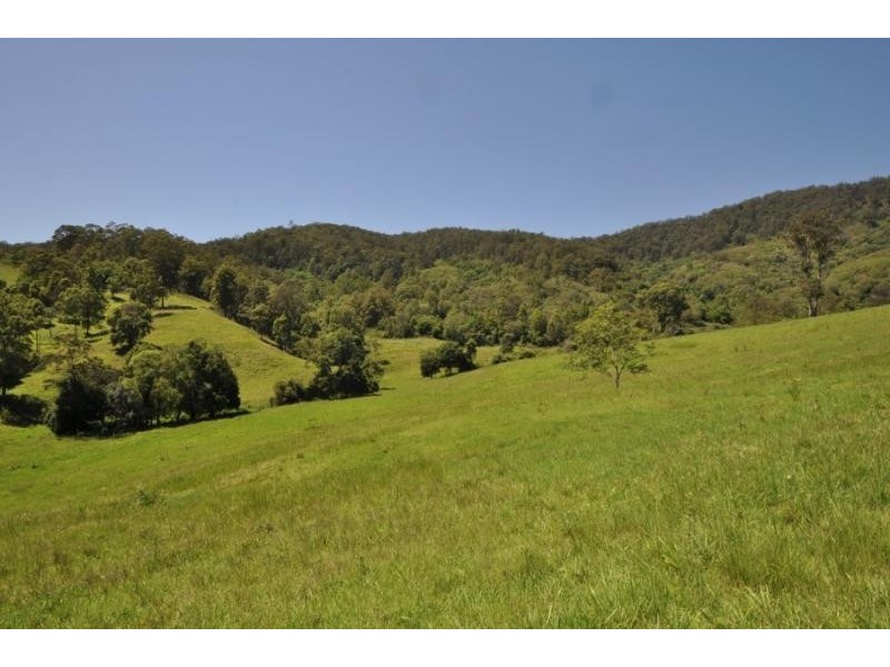 121 Higginbotham Road, Upper Taylors Arm NSW 2447