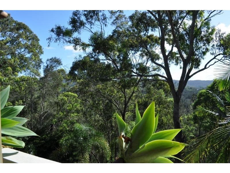 17 Vista Way, Scotts Head NSW 2447