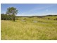 Eungai Creek NSW 2441