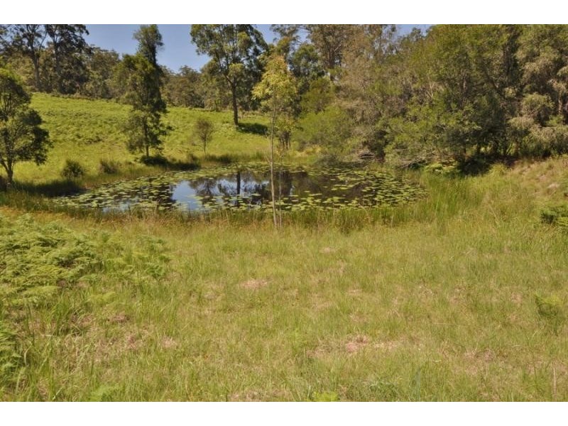 Eungai Creek NSW 2441