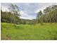 3098 North Arm Road, Bowraville NSW 2449
