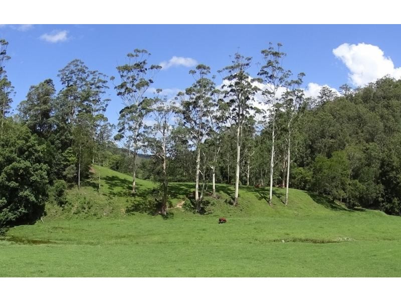 3098 North Arm Road, Bowraville NSW 2449