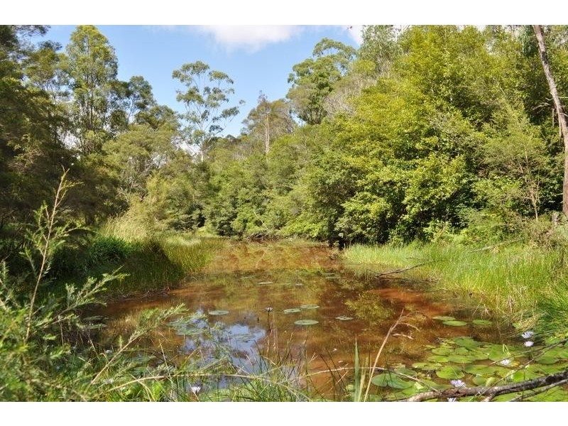 71 Eungai Creek Road, Eungai Creek NSW 2441