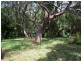 23 Hawkins Road TUROSS HEAD 2537, Tuross Head NSW 2537