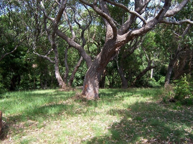 23 Hawkins Road TUROSS HEAD 2537, Tuross Head NSW 2537