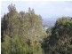 19 Viewpoint Court TUROSS HEAD 2537, Tuross Head NSW 2537