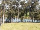285 Hawdons Road, Moruya NSW 2537