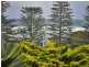 37 Beatty Crescent TUROSS HEAD 2537, Tuross Head NSW 2537