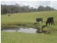 lot 3 Dwyers Creek  Road MORUYA 2537, Moruya NSW 2537