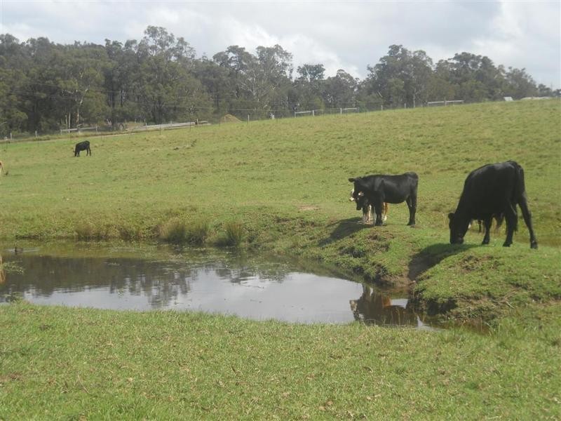 lot 3 Dwyers Creek  Road MORUYA 2537, Moruya NSW 2537