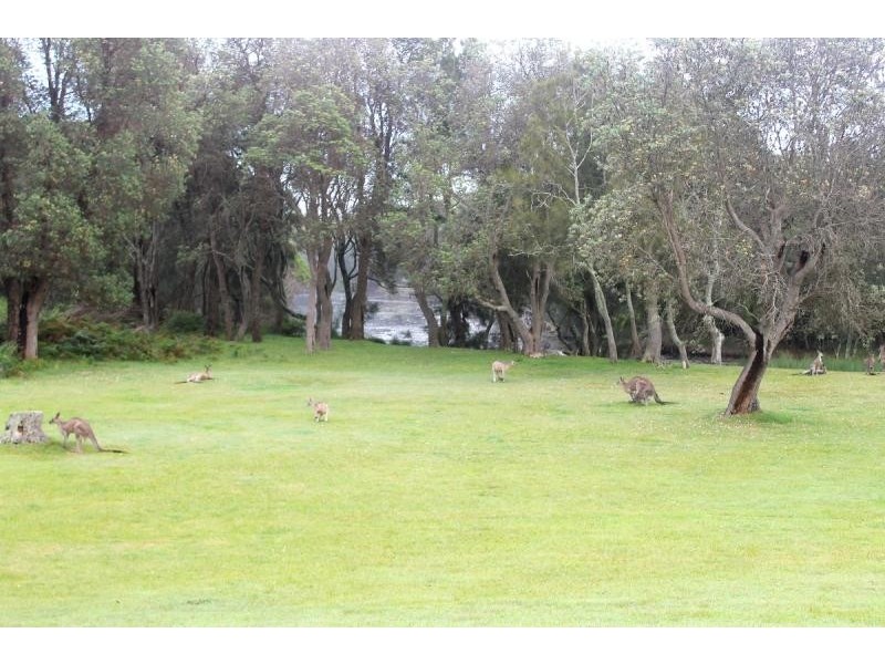 18 Longpoint Street, Potato Point NSW 2545
