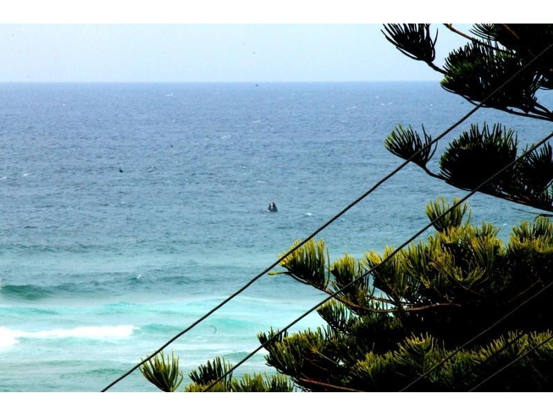 20 Clive Court, Tuross Head NSW 2537