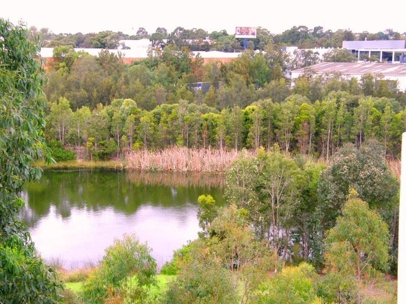 24/3 Owens Avenue, Newington NSW 2127