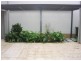11 Owens Avenue, Newington NSW 2127