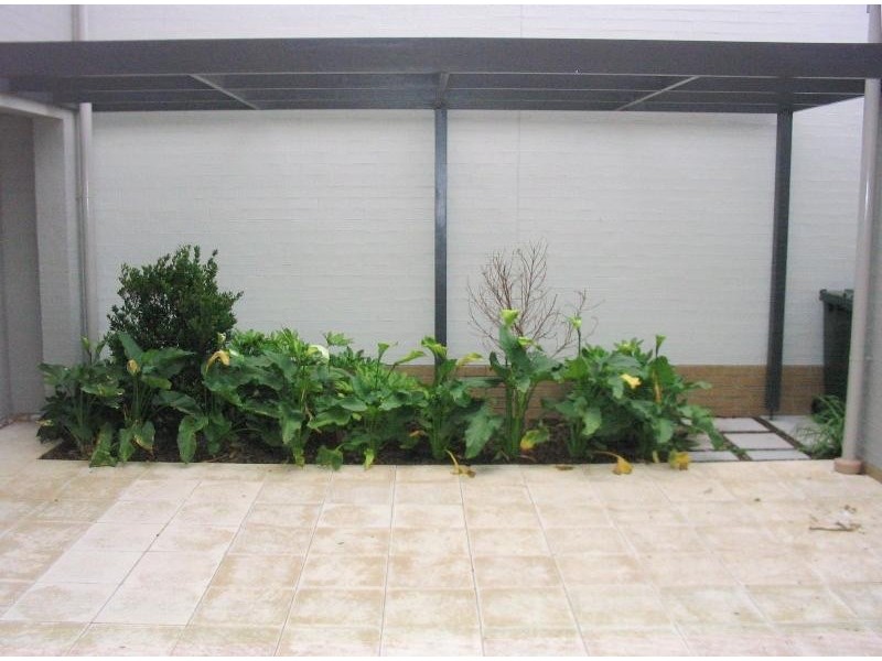 11 Owens Avenue, Newington NSW 2127