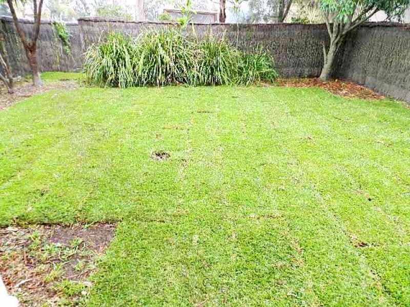 20 Watt  Avenue, Newington NSW 2127
