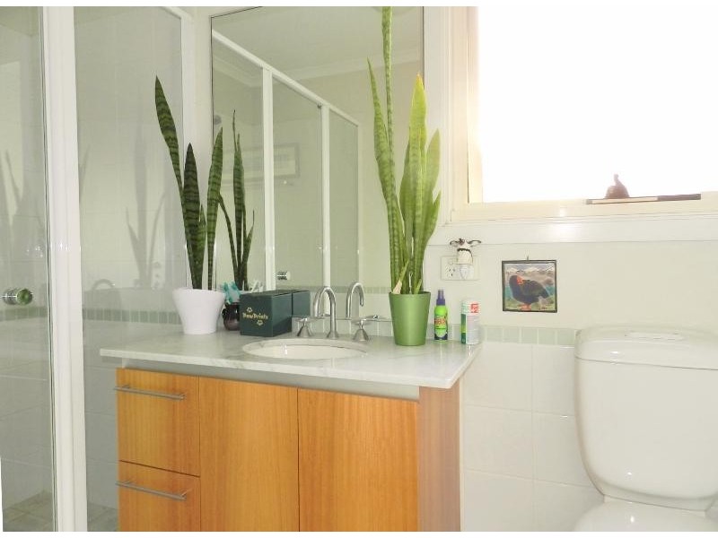 8 Davies Street, Newington NSW 2127