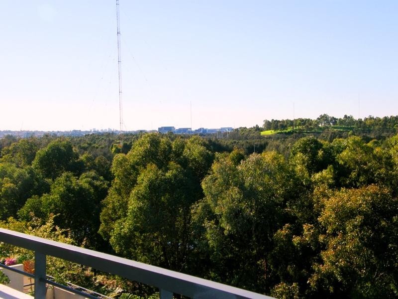 17/17 Pearce Avenue, Newington NSW 2127