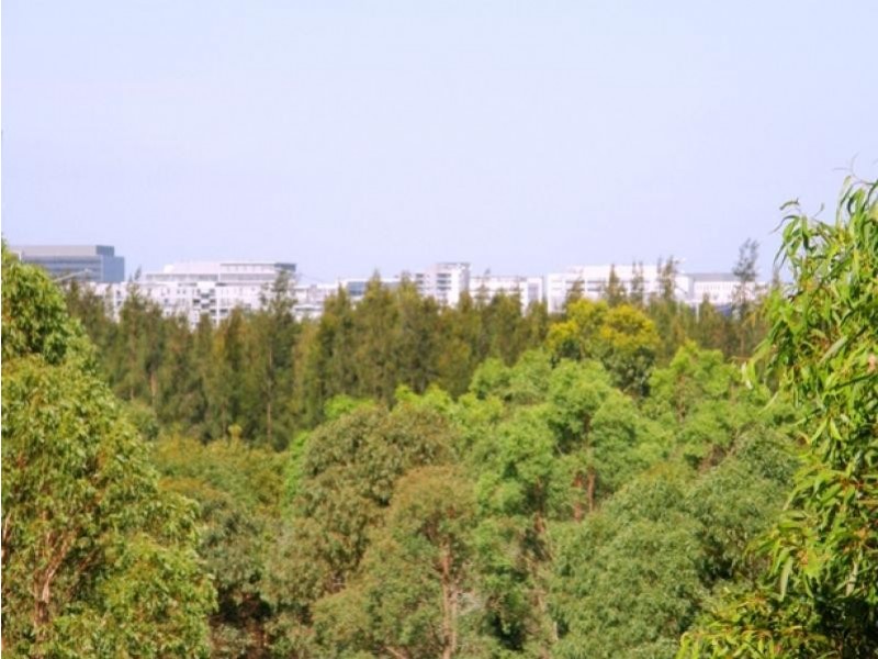 4/15 Blaxland  Avenue, Newington NSW 2127