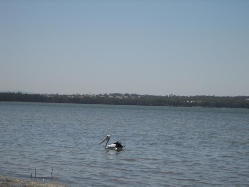 7 Panorama  Avenue CHARMHAVEN 2263, Charmhaven NSW 2263