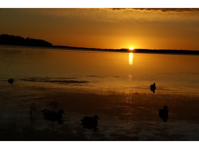 7 Panorama  Avenue CHARMHAVEN 2263, Charmhaven NSW 2263