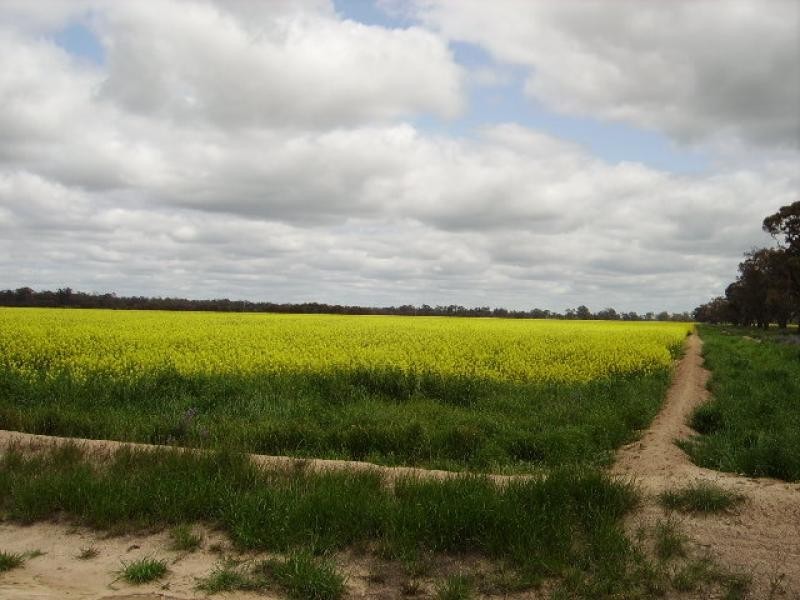 1 Taylors Road TOCUMWAL 2714, Tocumwal NSW 2714