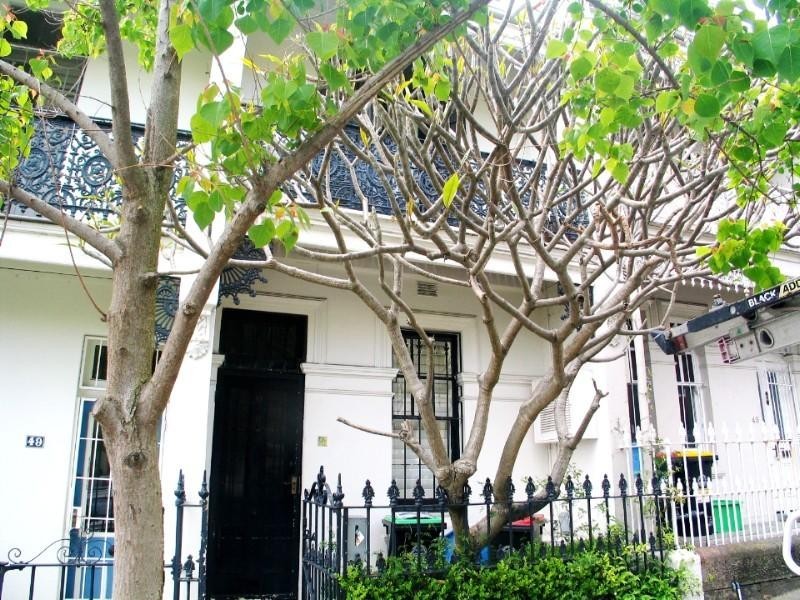 47 Goodhope Street PADDINGTON 2021, Paddington NSW 2021