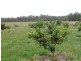 20 Wilson  Drive COLO VALE 2575, Colo Vale NSW 2575