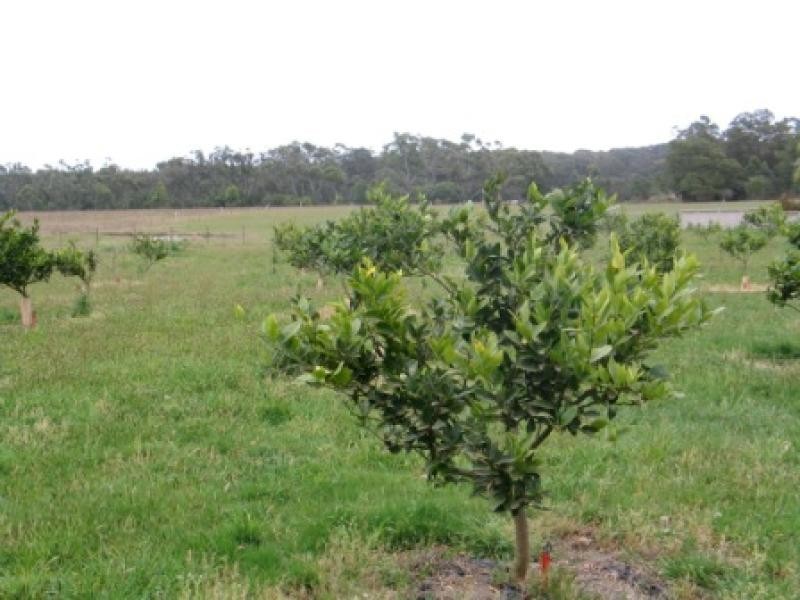 20 Wilson  Drive COLO VALE 2575, Colo Vale NSW 2575