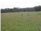 20 Wilson  Drive COLO VALE 2575, Colo Vale NSW 2575