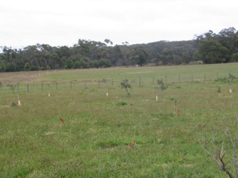 20 Wilson  Drive COLO VALE 2575, Colo Vale NSW 2575