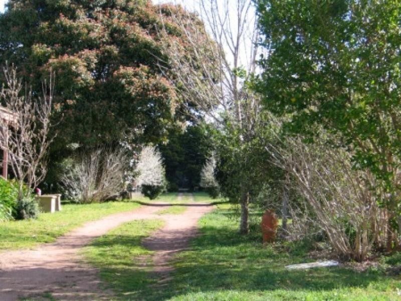 183 Ringwood Road EXETER 2579, Exeter NSW 2579