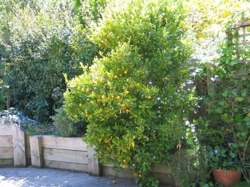 24 Clearview Street BOWRAL 2576, Bowral NSW 2576