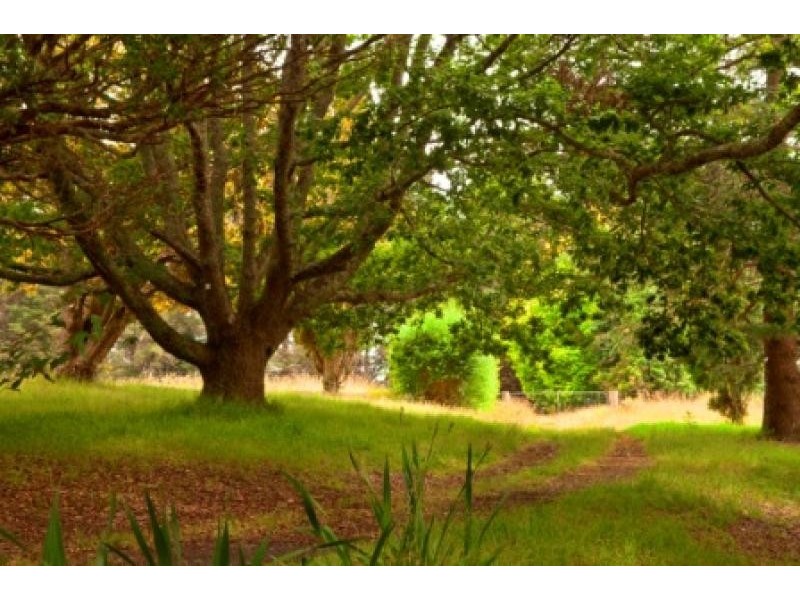 Lot 3 Suttor Road, Moss Vale NSW 2577