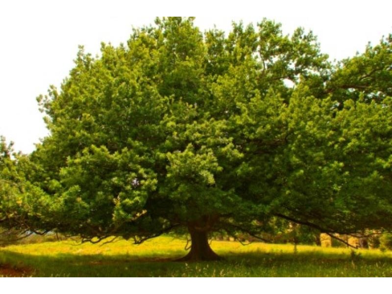 Lot 3 Suttor Road, Moss Vale NSW 2577