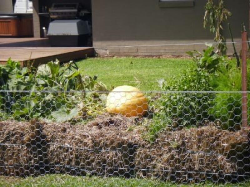 54a May  Street ROBERTSON 2577, Robertson NSW 2577