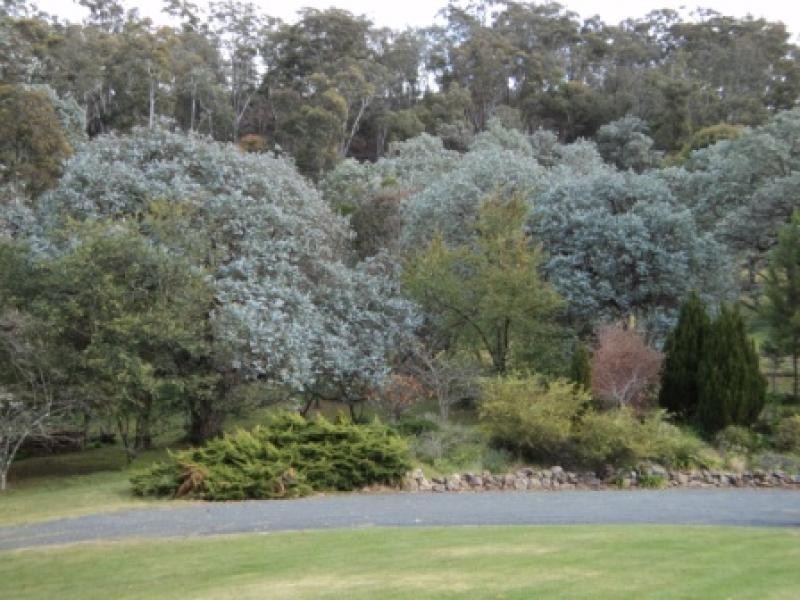 170 Jacks Valley  Road JOADJA 2575, Joadja NSW 2575