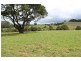 164 McEvilly Road, Robertson NSW 2577