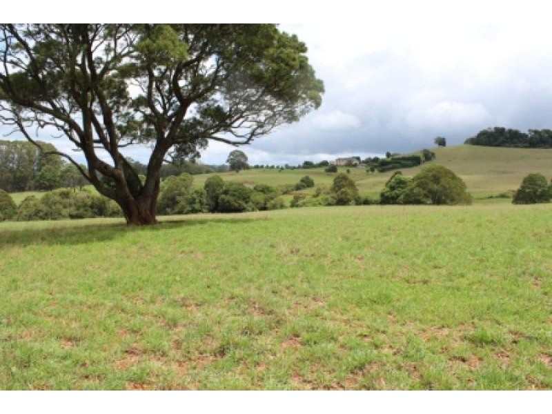 164 McEvilly Road, Robertson NSW 2577