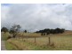 164 McEvilly Road, Robertson NSW 2577