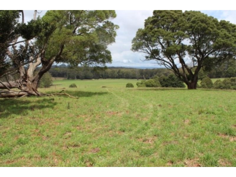 164 McEvilly Road, Robertson NSW 2577