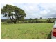 164 McEvilly Road, Robertson NSW 2577