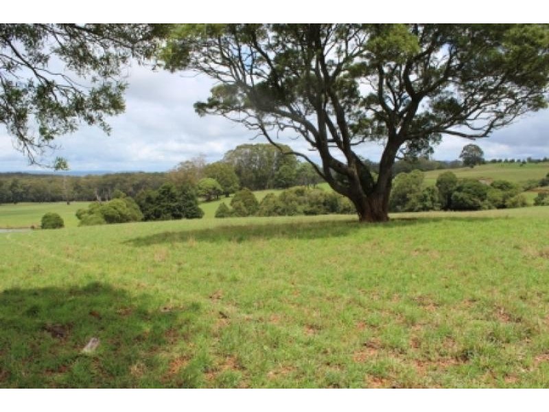 164 McEvilly Road, Robertson NSW 2577