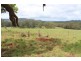 164 McEvilly Road, Robertson NSW 2577
