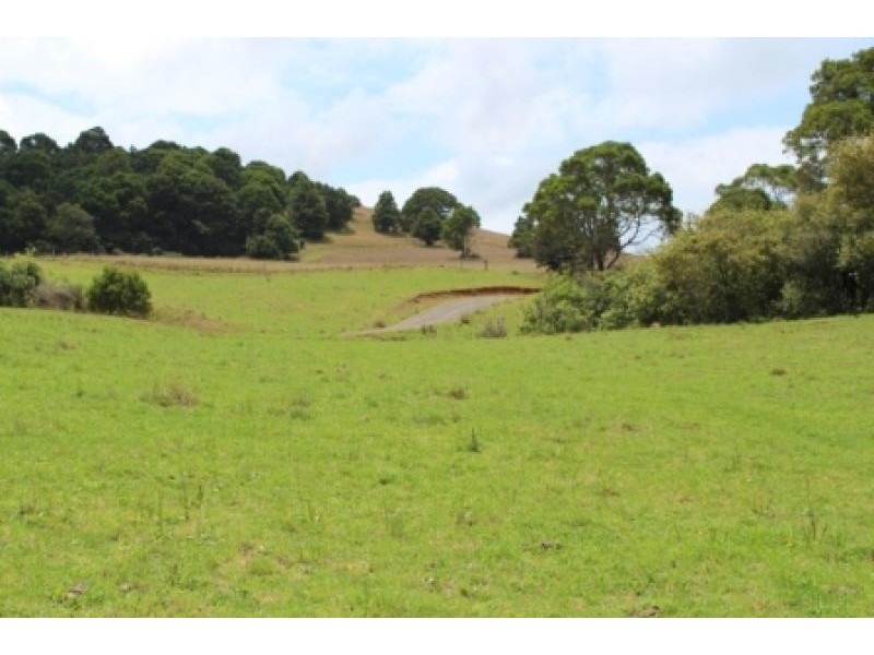 164 McEvilly Road, Robertson NSW 2577