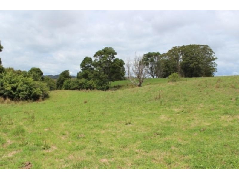164 McEvilly Road, Robertson NSW 2577