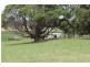 164 McEvilly Road, Robertson NSW 2577