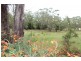 Wildes Meadow NSW 2577