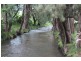 Jamberoo NSW 2533