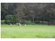 Jamberoo NSW 2533